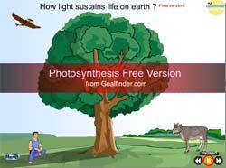Photosynthesis animation