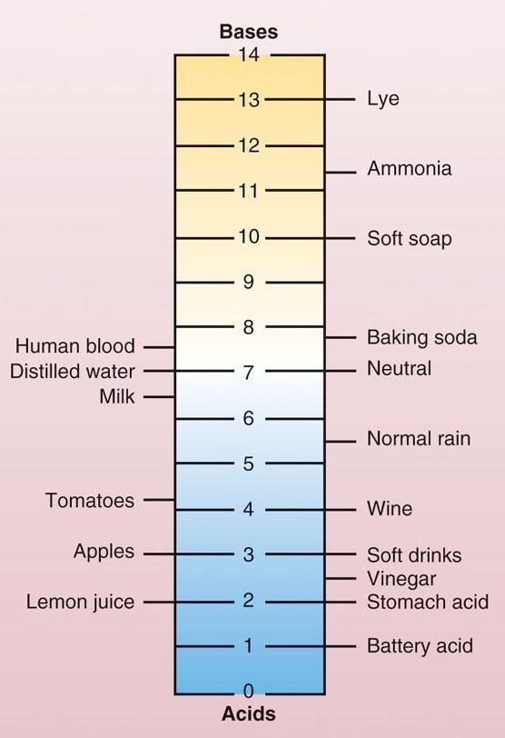 ph Scale ph scale: is logarithmic; each step is 10X 0 to 6.9 is acidic 7 is neutral 7.