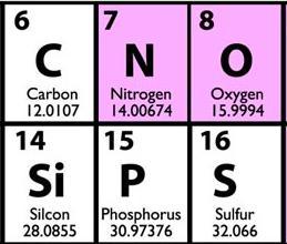 Elements of Life ATOMIC NUMBER: Number of protons ATOMIC MASS: