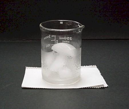 Physical Properties Melting Point and