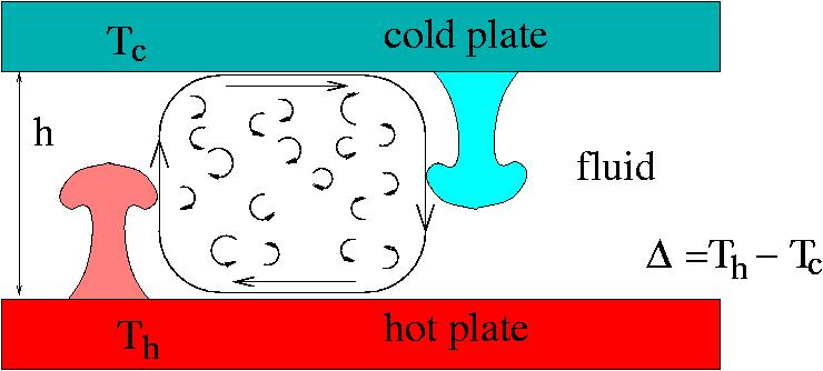 The Rayleigh-Bénard problem Fluid layer of depth h heated from below and cooled from above Thermal expansion causes hot fluid to rise and cold fluid to sink (unstable thermal stratification)