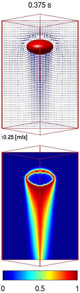Figure 2: Case 1: Intermediate ellipsoidal and Wobbling, M = 5 10 7, Eo = 3.125, Sc = 300. Bubble shape and velocity vector (top); Normalized dissolved species concentration (bottom).