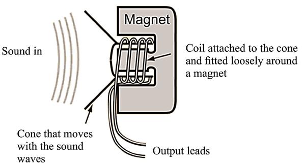edu>] The magnet is fixed to the case inside the microphone. There is a coil that is attached to the cone. The sound waves move the cone backwards and forwards.