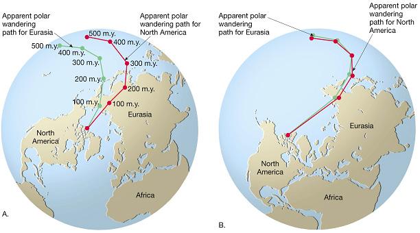 Continental Drift and Paleomagnetism Apparent polar wandering Apparent movement of magnetic poles revealed in magnetized rocks indicates continents have moved Shows that Europe was much closer to