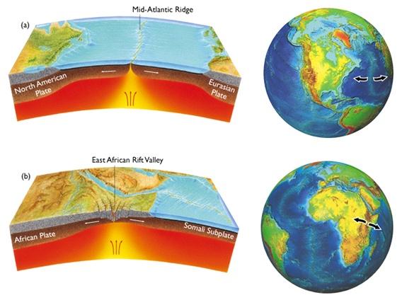 Divergent Plate Boundaries Seafloor plate separation Continental plate separation ~5 cm/yr separation Mid-Ocean Ridges