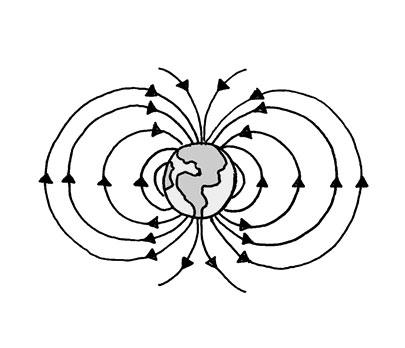 Magnetic Fields A magnet has forces that push and pull. The forces surround the magnet with a magnetic field. Where is the force of the magnetic field the strongest?