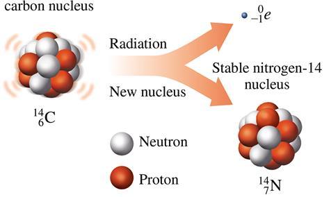 BETA DECAY Beta decay occurs when a nucleus changes into another nucleus and gives off a ß-particle, which is an electron 0-1 e. In beta decay, a neutron is transformed into a proton and an electron.