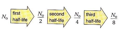 HALF-LIFE The time it takes for half of any radionuclide to decay is called half-life. Some nuclides have halflives of only seconds, while others have half-life of years.