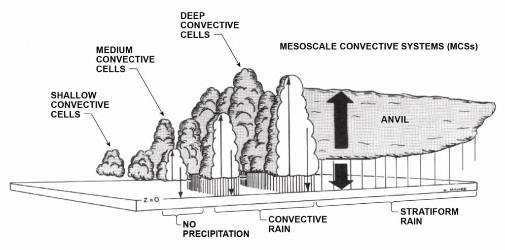 Idealized convective cloud population Advantage: Associate each of the convective echo characteristics to elements within the convective cloud population Three important types of radar echo