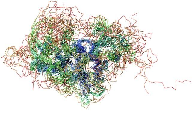 Why Study the Evolution of Protein Structure? 1.