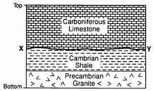 49. The diagram below shows a cross-sectional view of part of the Earth's crust. What does the unconformity (buried erosional surface) at line XY represent?