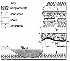 Carboniferous rock layers 50.