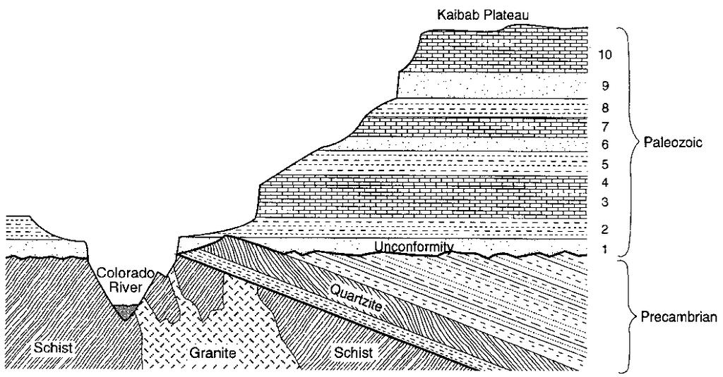 time gap in the rock record 4) contain index fossils from different time periods 40. The diagrams below show the sequence of events that formed sedimentary rock layers A, B. C, and D. 42.