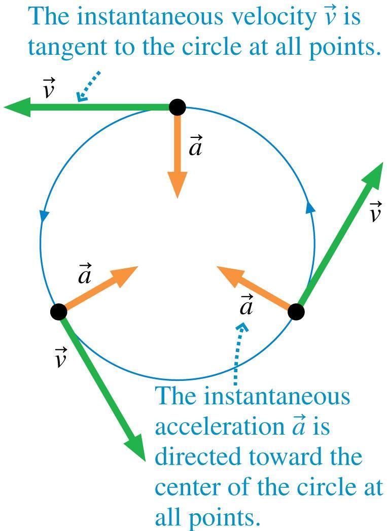 Velocity and Acceleration in Uniform Circular Motion