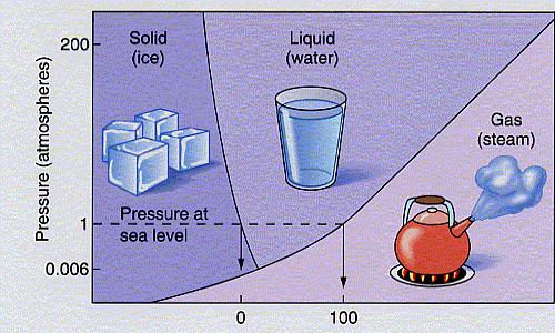 Phase Diagrams Graph of Temperature vs. Pressure that indicates points in which a substance will be a gas, liquid or a solid.