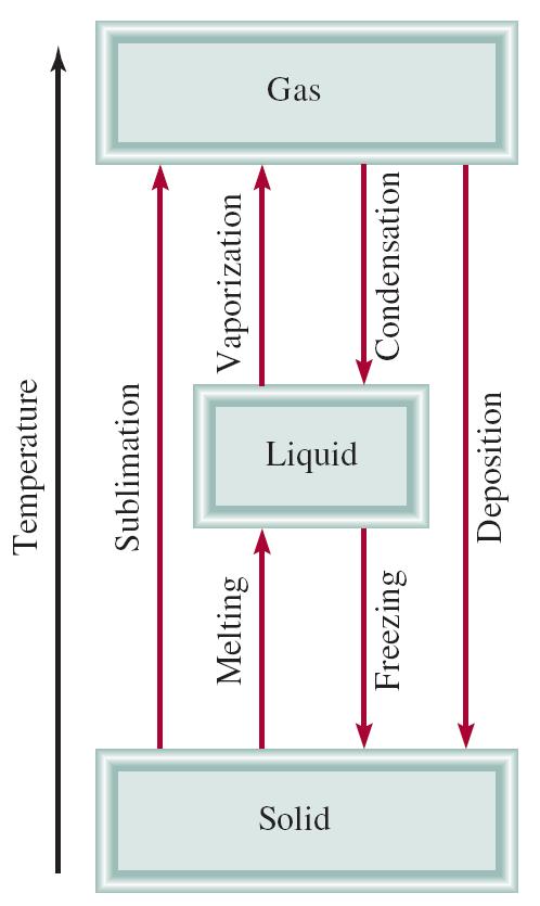 - Liquid-Vapor Equilibrium -