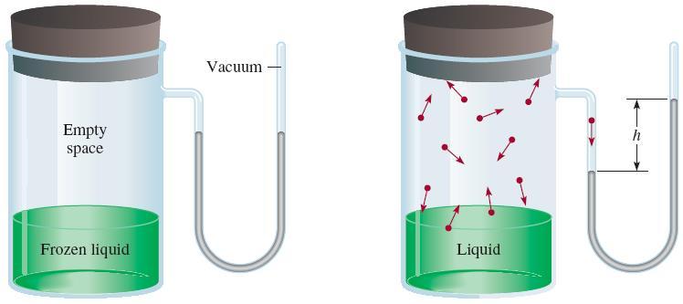 Liquid-Vapor Equilibrium Evaporation, or vaporization, is the process in which a liquid is transformed into a gas. Vapor Pressure Apparatus for measuring the vapor pressure of a liquid.