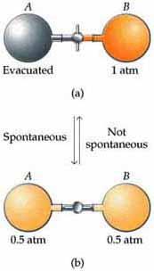 Spontaneous Processes Spontaneous processes are those that can proceed without any outside intervention The gas in