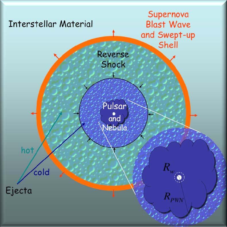 forms Gaensler& Slane 2006 Supernova Remnant - sweeps up ISM; reverse shock heats ejecta; ultimately compresses PWN;