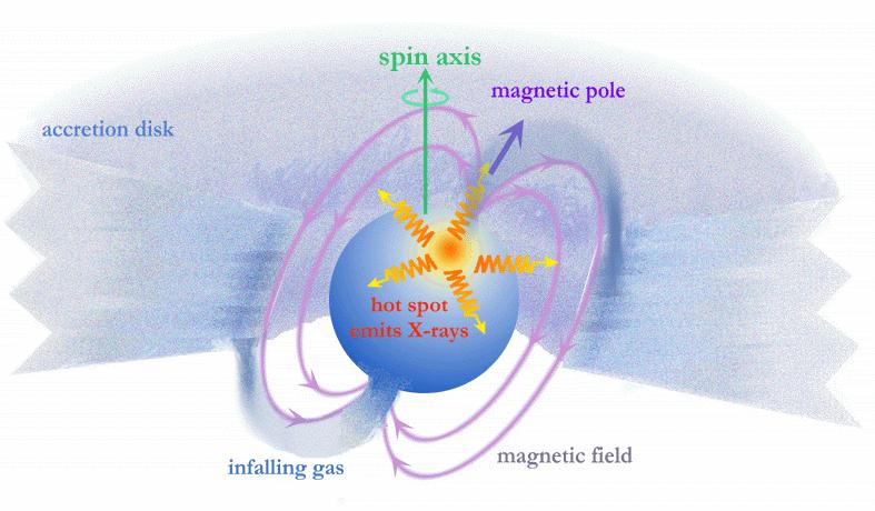 The mass accreted from the disk is guided by the B field toward the magnetic poles.