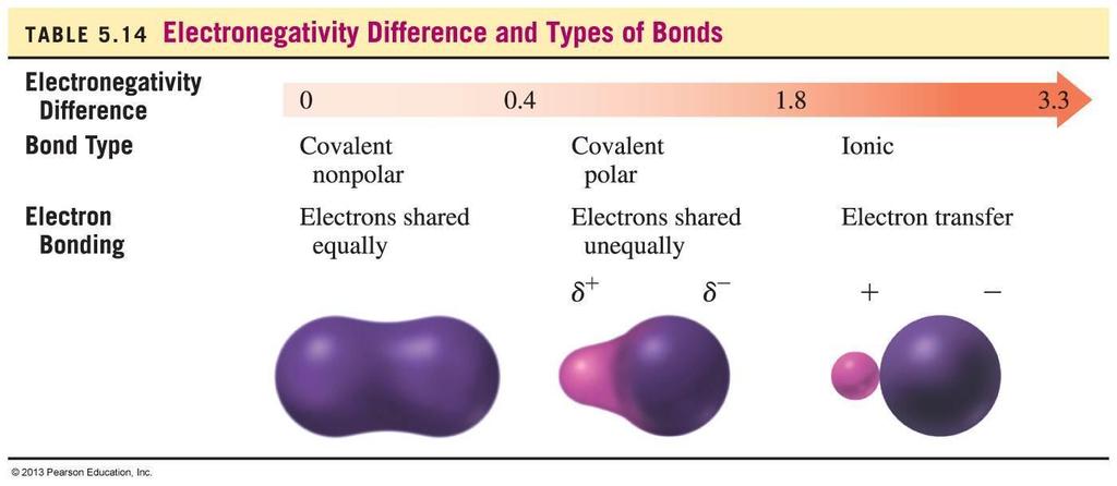 When two atoms that differ in electronegativity bond, they do not share the electron pair equally,