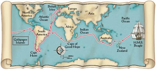 Voyage of the Beagle (1839-1844) Darwin s Voyage - During his travels, Darwin made numerous observations &