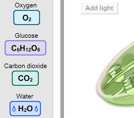 Name: Date: Student Exploration: Cell Energy Cycle Vocabulary: aerobic, anaerobic, ATP, cellular respiration, chemical energy, chlorophyll, chloroplast, cytoplasm, glucose, glycolysis, mitochondria,
