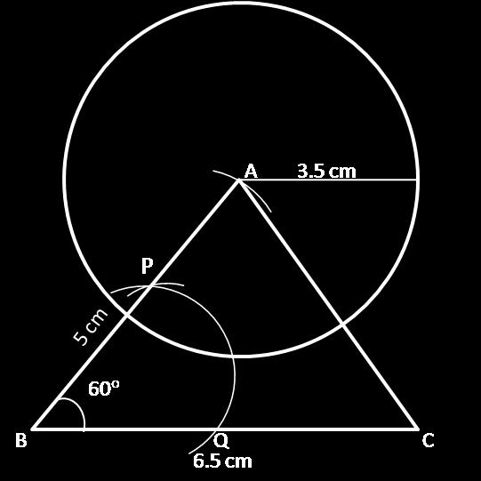 (b) (i) Steps of construction: 1. Draw BC = 6.5 cm using a ruler.. With B as the centre and radius equal to approximately half of BC, draw an arc that cuts the segment BC at Q.
