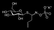 Glucosinolates Polyketides Terpenoids Can