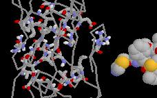Ritonavir inhibitor fits into HIV Protease HIV protease inhibitor