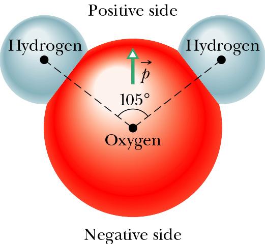 Water (H 2 O) is a molecule that has a permanent dipole moment. GIven p = 6.2 x 10-30 C m And q = -10 e and q = +10e What is d? d = p / 10e = 6.2 x 10-30 C m / 10*1.6 x 10-19 C = 3.