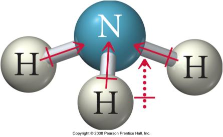 Molecule Polarity The H-N bond is polar.