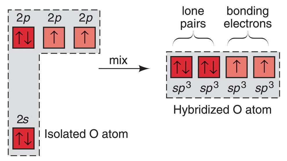 Example 3: sp 3 hybrid orbitals in H 2 O.