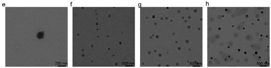 TEM images of polymeric metallacage 2 in CH 2 Cl 2 /hexane solutions with different hexane contents Supplementary Figure S14 TEM images of the
