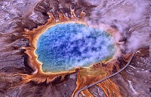 Archea - Extremophiles Some groups of Archaea were discovered