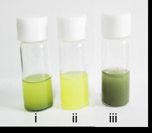 Figure S4. Photographs of the Pt/TiO 2 -MAPbI 3 hybrid powder in saturated HI solution.