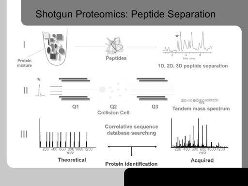 The concept of shotgun proteomics is shown above. Instead of separating the proteins, the entire cell extract is digested with proteases and then the complex mixture is separated.