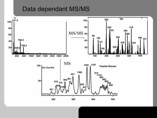 Here an automatic RP-HPLC-MS/MS run is shown. The mass spectrometer first accumulates a normal MS scan. It finds the 10 most intense peaks.