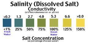 sodium chloride (table salt) The total amount of all salts found in water is