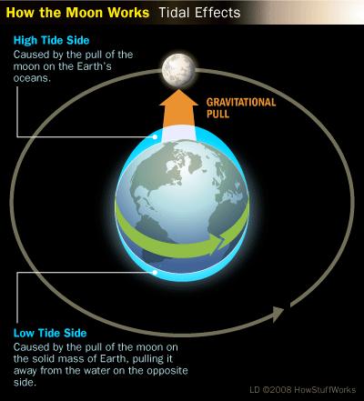 Tides - Causes The gravitational force of the moon and the rotation of the Earth
