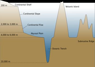 Earth & Water A Love Story The Earth is in a constant state of change Ocean Basins The Theory of Plate Tectonics Explains how the lithosphere (crust of the Earth) is in pieces and these