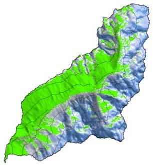 The line layer represents the actual forest cover. challenging task. One possible approach could be coupling the satellite algorithms with a snow model like the one in GEOtop. 4.2.