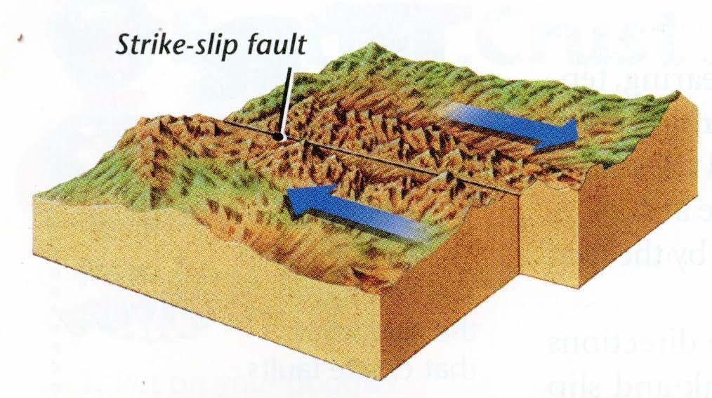 10.What type of fault is