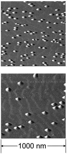 A close look on single quantum dots A. Zrenner Walter Schottky Institut, Technische Universität München, D-85748 Garching, Germany The Journal of Chemical Physics, Vol. 112, No. 18, pp.
