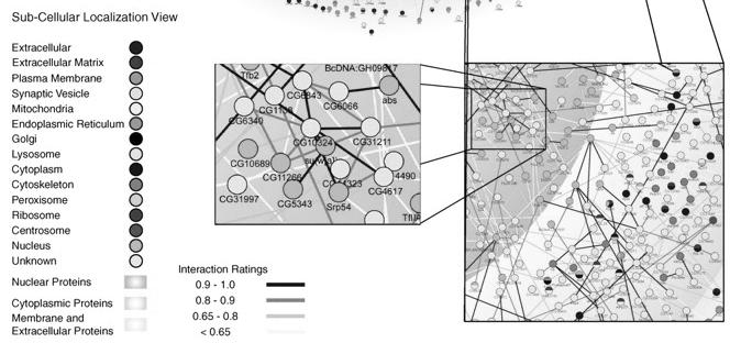 elegans Predictive value of reconstructed networks Sub-clusters and sub-architecture Comparison with known