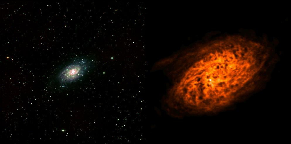 Gas content NGC 2403