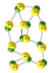 following pairs of atoms? a. N & H b. F & F c. Ca + Cl d.