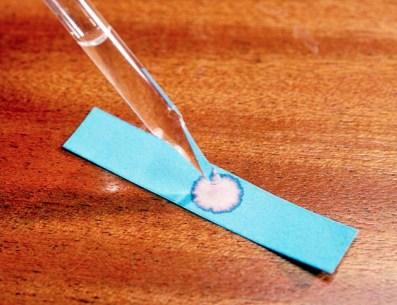 test for water: Blue, anhydrous cobalt chloride is also used as a test for water it turns to pink hydrated