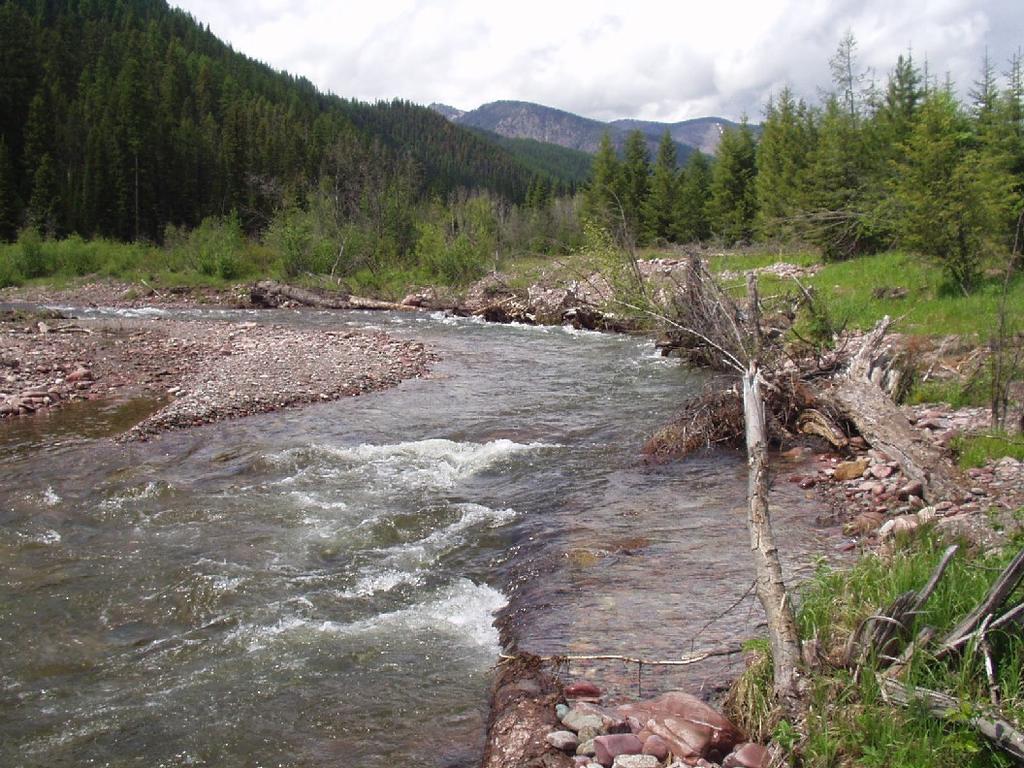 Geomorphic and Analytical Approaches to Stream Rehabilitation