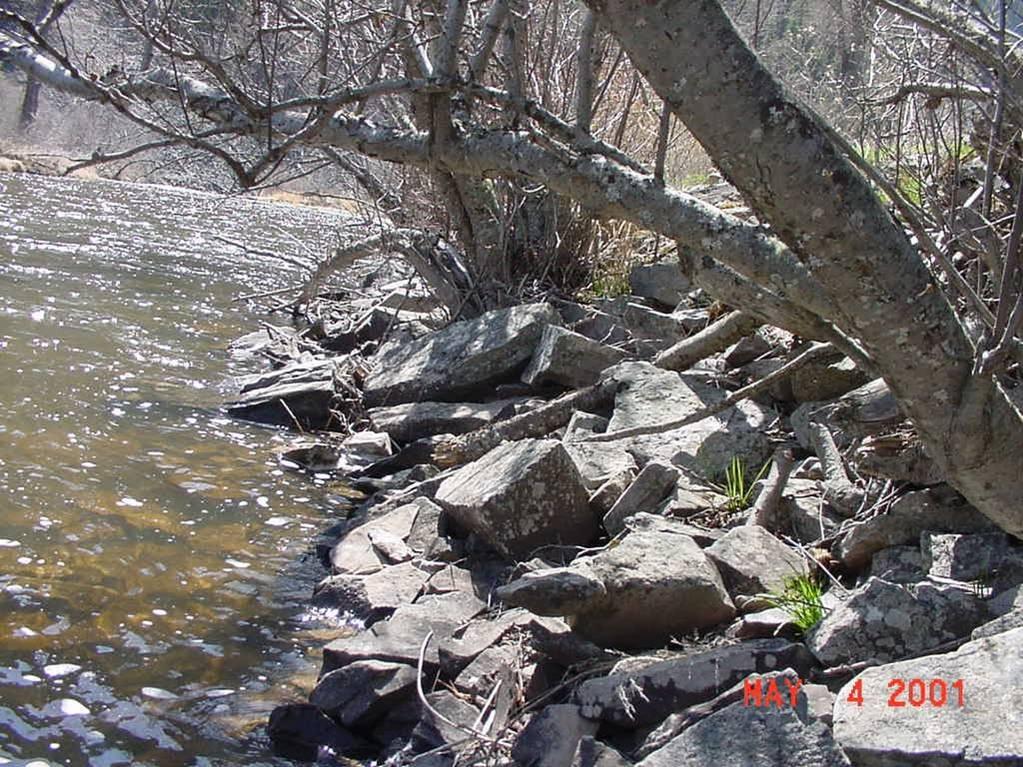Designed irregular bank line and rock protrusions dissipate energy and create habitat niches at multiple flow levels